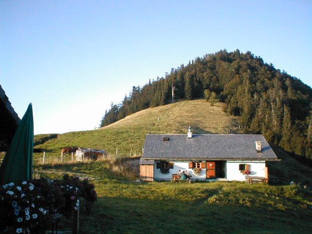 Appartements Ferienwohnungen Alpenblick Faistenau Eksteriør billede