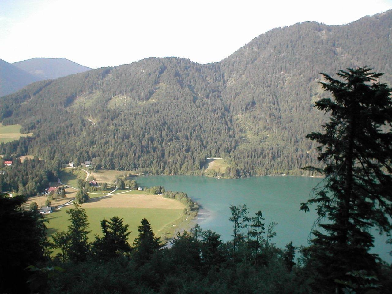 Appartements Ferienwohnungen Alpenblick Faistenau Eksteriør billede